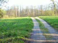 Old forester's house in the nature park, surrounding area of Berlin, own terrace, sauna, WiFi