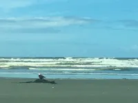 fully fenced Dog yard - Overlooking the Copalis River -