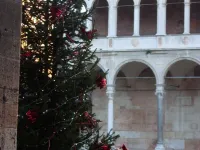 VIOLINS AND MUSIC APARTMENT IN DOWNTOWN CREMONA - AT ANTONELLA'S HOUSE - Hotels in Cremona