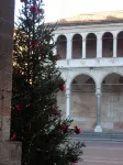 VIOLINS AND MUSIC APARTMENT IN DOWNTOWN CREMONA - AT ANTONELLA'S HOUSE - - 무료 와이파이