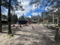 Child-friendly holiday home near a pool and playground in the forests of Veluwe - 2つ星