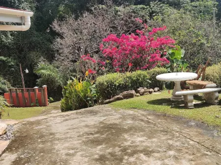 Mandarin Housing Vacation Package Отели в г. Сангр Гранде