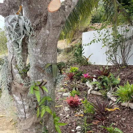Minutes from Magens Bay, gated property, large pool & outdoor entertainment area