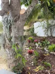 Minutes from Magens Bay, gated property, large pool & outdoor entertainment area