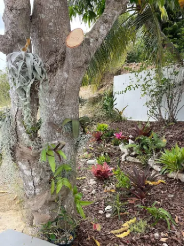 Minutes from Magens Bay, gated property, large pool & outdoor entertainment area