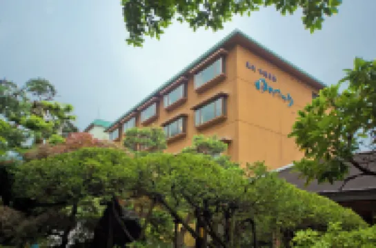 Shogawa Onsen Yumetsuzuri Hotels in 