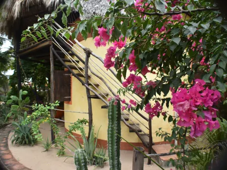 Posada Mexico Отели в г. Плайя Сиполите