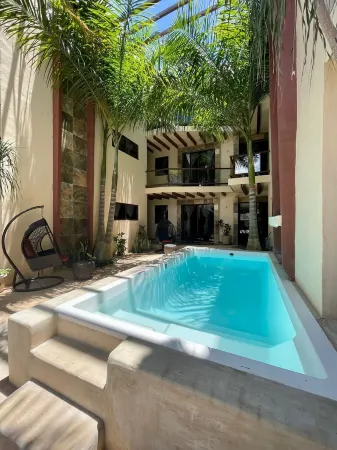 Macondo Raíz Holbox