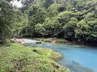 Kakao Lodge & Garden Río Celeste Hotels in La Fortuna