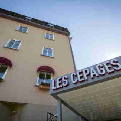 Logis Hôtel des Cépages Hotel Exterior