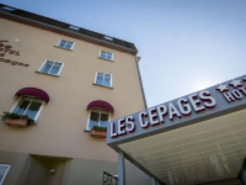 Logis Hotel des Cépages Hotels in Arbois