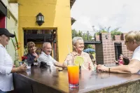 Finca Hotel la Quinta Porra - bar