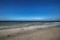 Pool Access! Indian Shores Beachfront Condo - Holiday Apartments