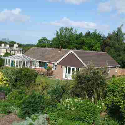 Courtlands Nurseries B&B Hotel Exterior