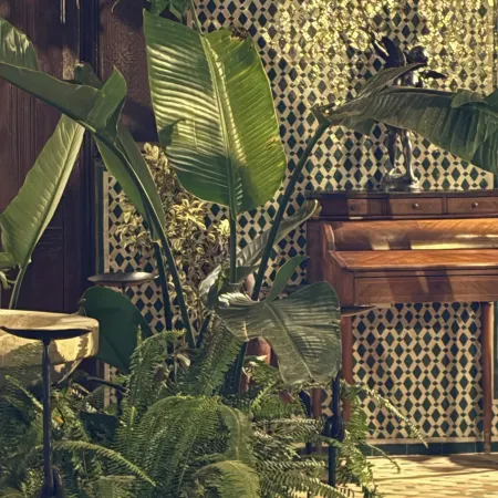 Riad Harmattan
