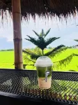 เพนกวิ้น วิลล่า รีสอร์ท แอนด์ บิสโทร - วิว