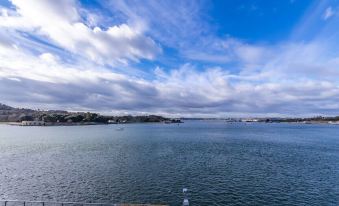 Mayflower by Pureserviced