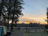 Sun Cabin at Left Foot Farm