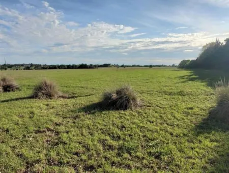 Entire home in Austin County