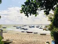 Nice family villa Arcachon bassin