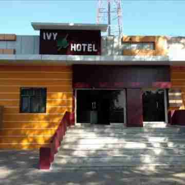 lvy Hotel And Restaurant Hotel Exterior