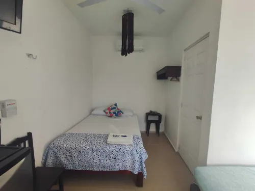 Habitacion 11 Tiburón Alfombra Squalosplace