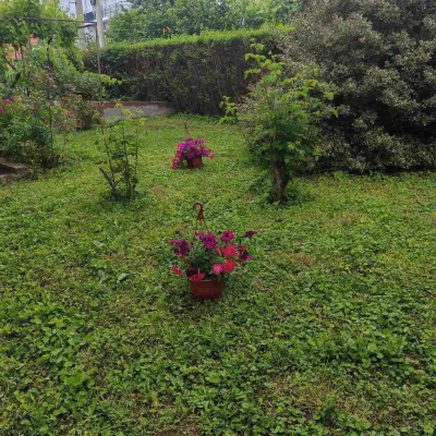 Apartmani Vila Viktorija Soko Hotels in 