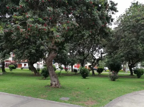 Agradable y Acogedor Duplex en San Miguel, Lima a 15 min del Aeropuerto