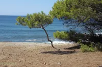 Holiday, where Tuscany is still authentic. 16th c. Villa, Infinity pool: Leccio