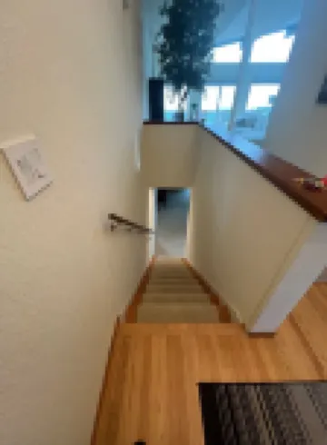 True View - Oakland/Berkeley/San Francisco Retreat