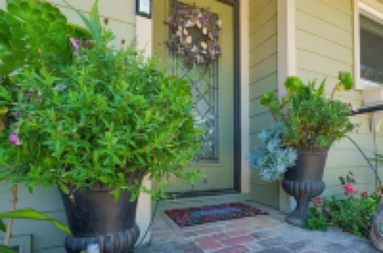 Wine Down Cottage in the Heart of Cambria