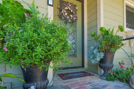 Wine Down Cottage in the Heart of Cambria Отели в г. Сен-Луи Обиспо