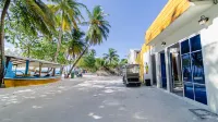 the turtle hive maldives - velaavani dhiffushi