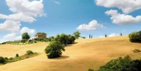 Relax Hotel Acquaviva - Tuscany Hills - Wifi