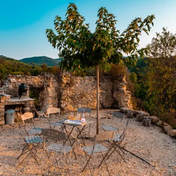 Villa in Provence with Infinity Pool