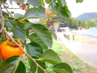 Auto Campsite in Takachiho Hotels in Takachiho
