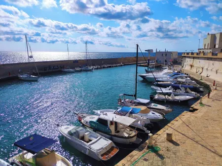 Casa De Vita - (amazing view on the coast)