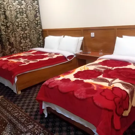 Vista Hotel Danyore Отели в г. Гилгит
