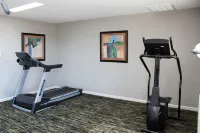 Quality Inn Crossville Near Cumberland Mountain State Park - Gym