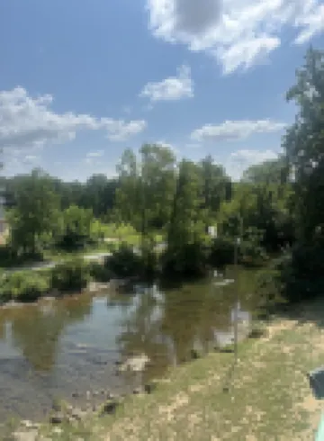 Little Pigeon River 309 1Bd Condo with River View Private Balcony by RedAwning