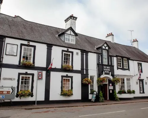 Three Salmons Hotel Hotels in Usk