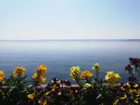 Alte Molke Hotels in Meersburg