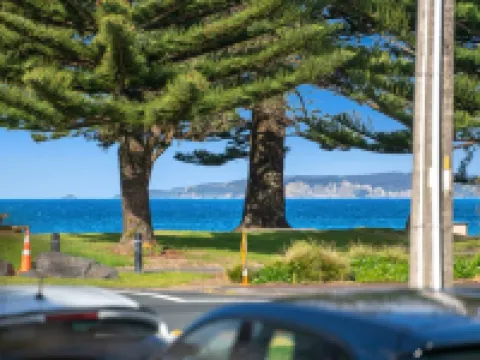 Right Opposite the Beach! Hotels in Orewa