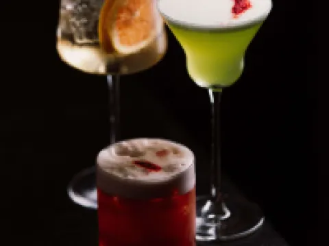 里加老城鉑爾曼酒店（2025年全新裝修開業） 里加酒店