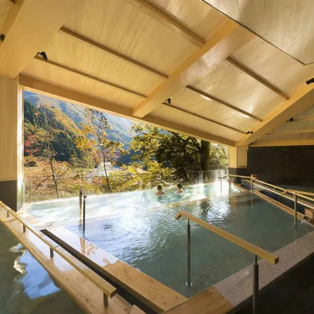 Kurobe Unazukionsen Yamanoha