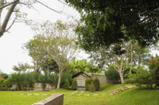 Extreme Adventure Park Hotels in 