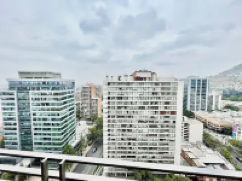 Rho Departamentos Hotels in Providencia