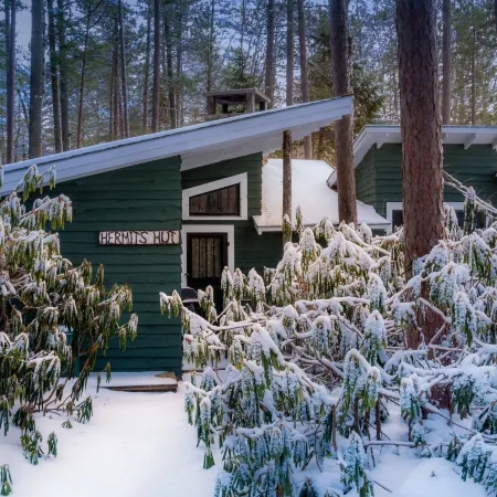 White Pine Camp