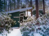 White Pine Camp