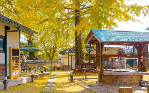 나주 3917마중 - 무료 와이파이